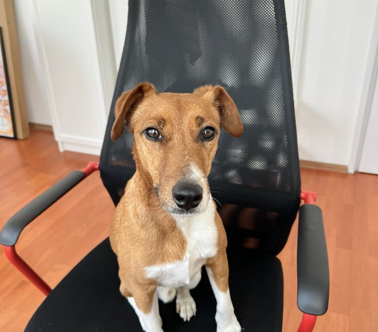 Analitikus látásmódú, Excelt szerető „kocka” kollégát keresek!
